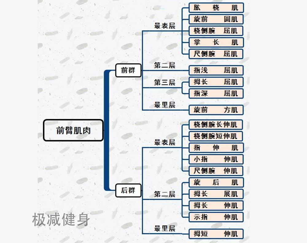 多做手指操有利于什么,俯卧撑练习有什么用