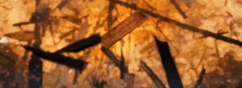 仍然「死不正经」，这部电影不服不行