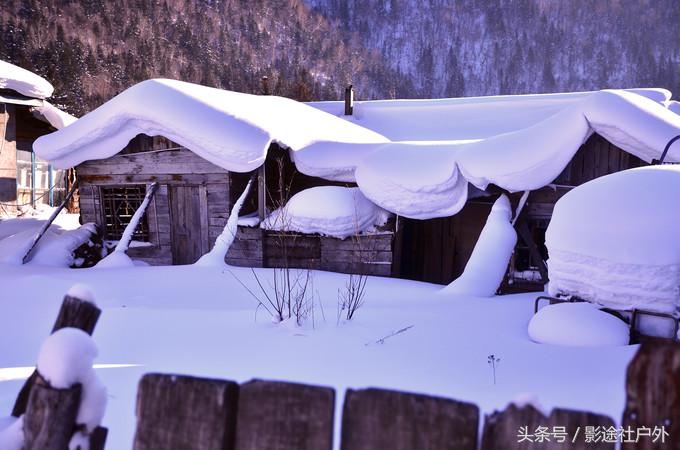 哈尔滨雾凇岛一日游,哈尔滨雪乡雾凇岛攻略
