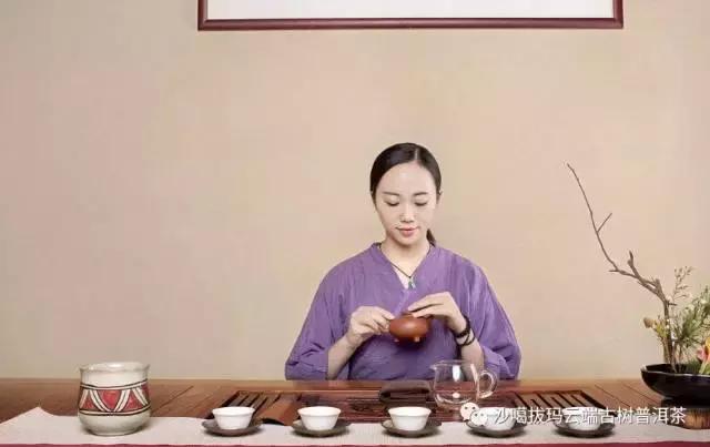 喝茶品茗攻略,饮茶待客的正确方式