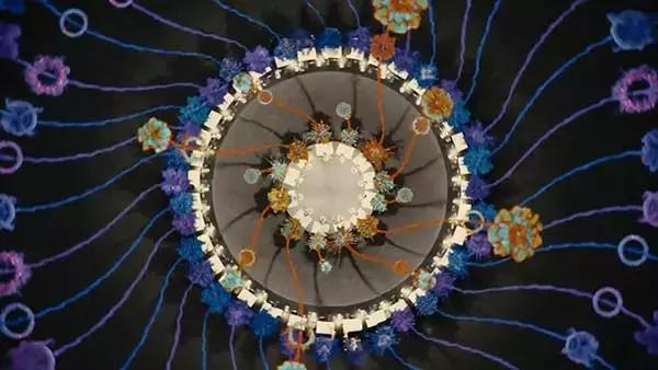 仍然「死不正经」，这部电影不服不行