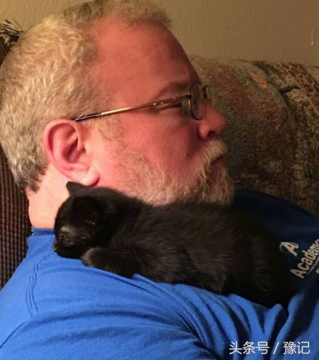 聚众吸猫的猫咪,聚众吸猫什么意思