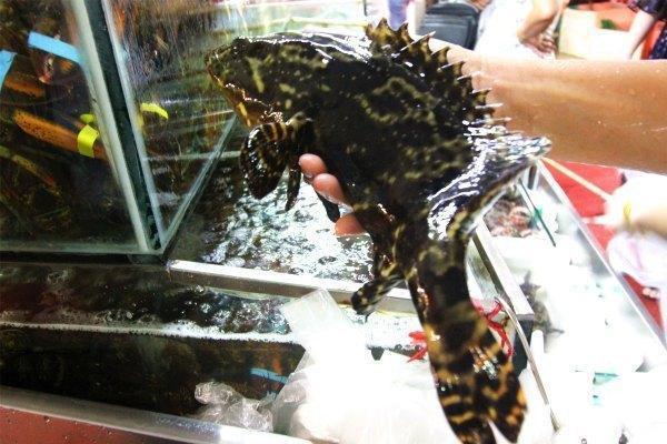 带上兜兜去旅游,带着小嘟嘟去旅游