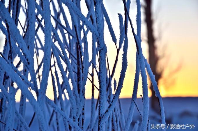哈尔滨雾凇岛一日游,哈尔滨雪乡雾凇岛攻略