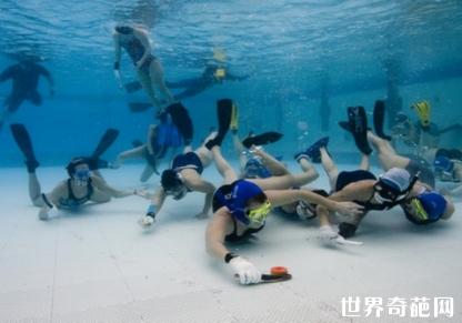 世界三大身体对抗体育项目,世界各地的奇葩体育比赛