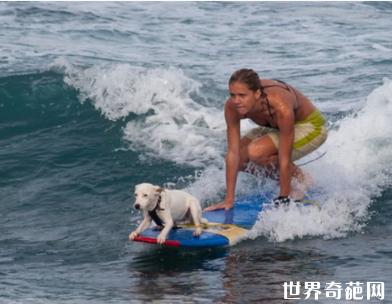 世界三大身体对抗体育项目,世界各地的奇葩体育比赛