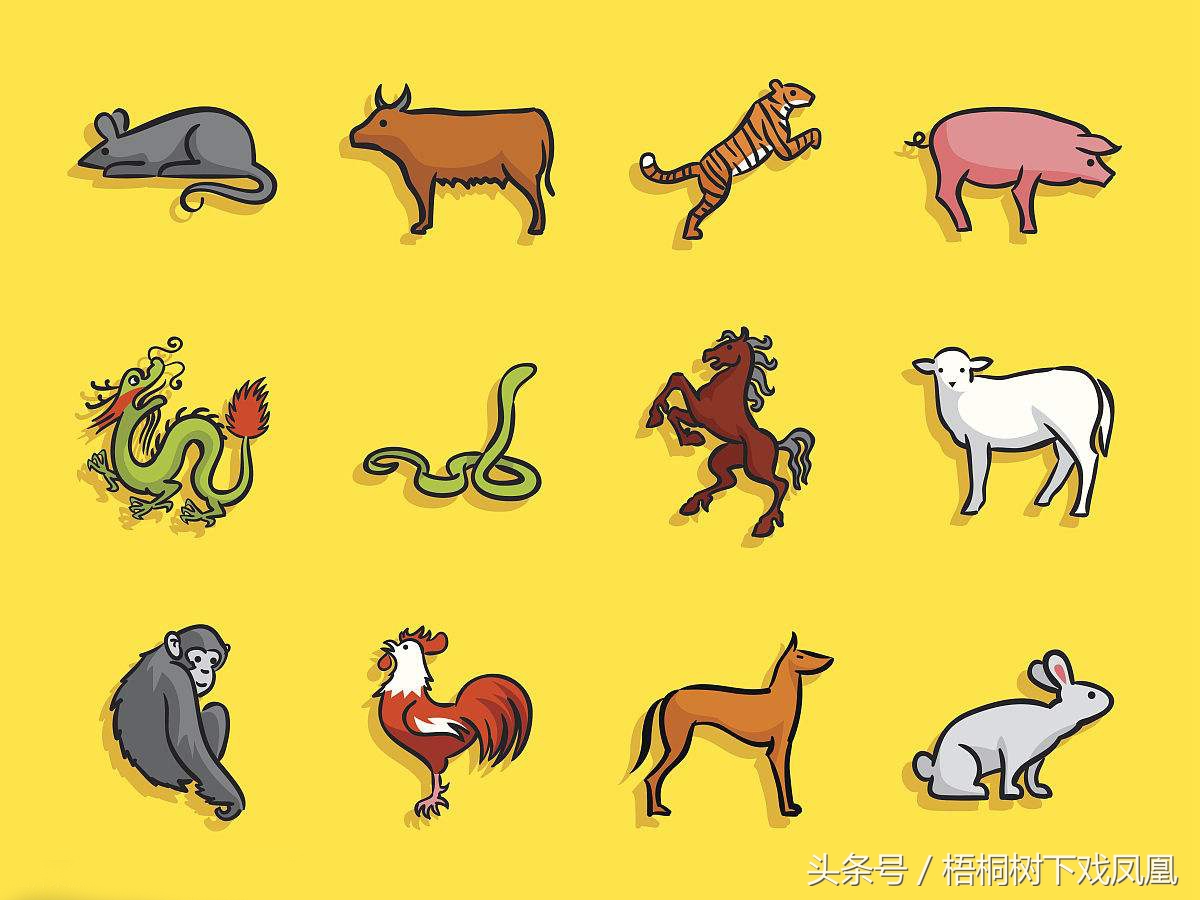 怎么知道夫妻八字合不合,如何确定俩人婚姻合不合