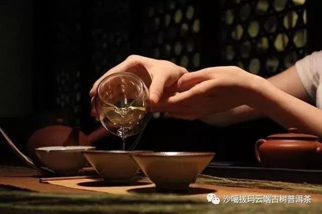 喝茶品茗攻略,饮茶待客的正确方式