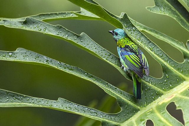 巴西有哪些魅力,巴西好玩吗