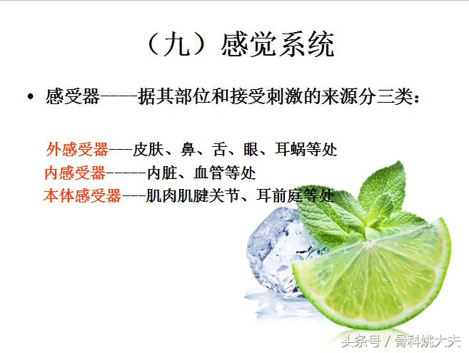 老年人护理基础知识大全,老年人的护理与保健知识