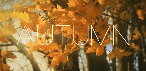 厦门低价机票攻略,厦门七八月飞哪里的机票便宜