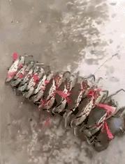 ktv专业培训,ktv会所统一工作服