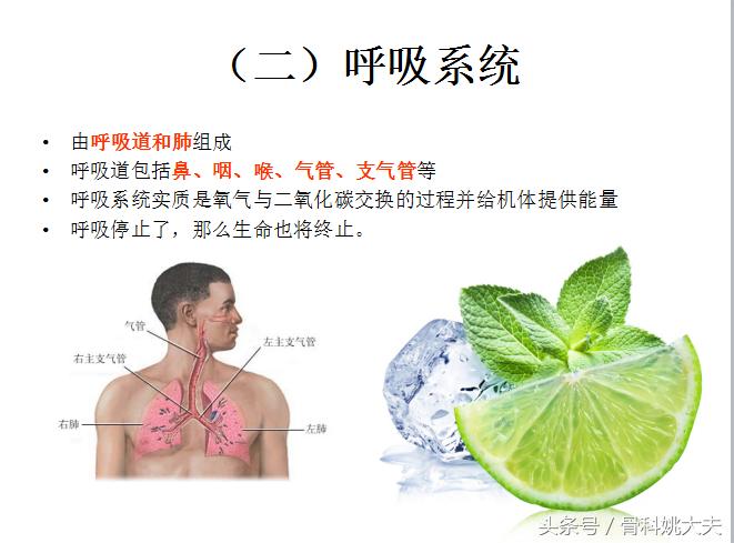 老年人护理基础知识大全,老年人的护理与保健知识