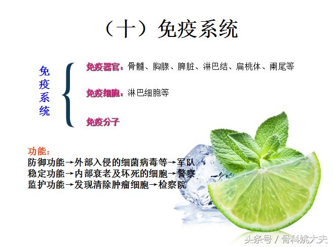 老年人护理基础知识大全,老年人的护理与保健知识