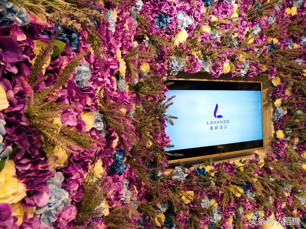 1000平米酒店投资预算,一家大型酒店大概投资多少钱