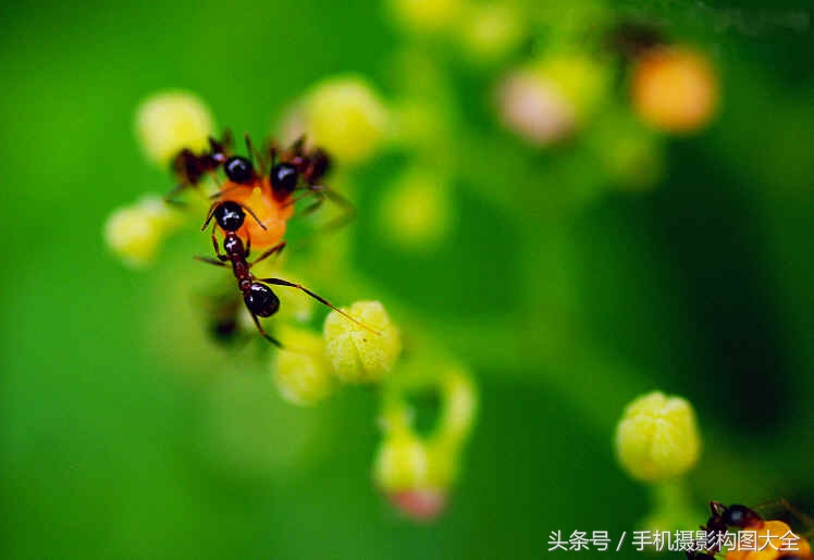 九宫格构图的构图思路,九宫格巧妙技法