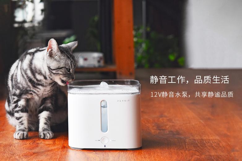 1000块的猫咪厕所,5000元猫