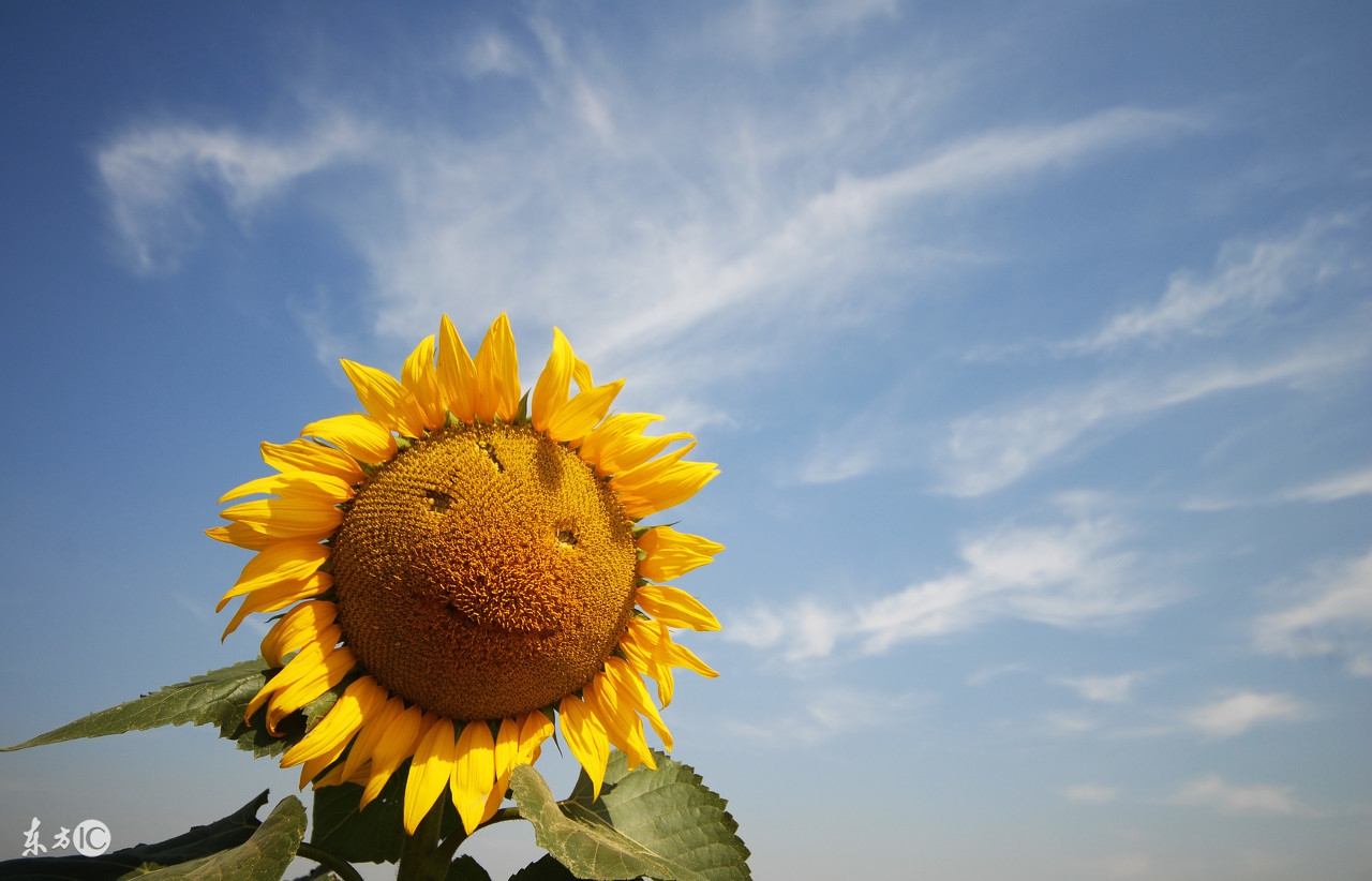 天下无癌论潘德孚,天下无癌论书