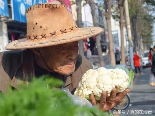 烟台莱州农村大爷视频,莱州卖菜老人