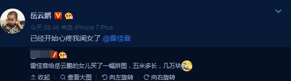 雷佳音竟跟小岳岳起内讧,雷佳音和小岳岳的傻白甜日常