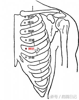常用92穴位主治,人体穴位肺