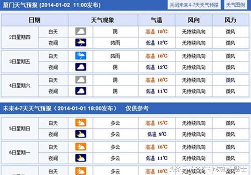 多肉植物增色液实验，到底所谓的韩过“神水”有没有用？