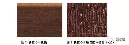 桃花心木品种大全图片,桃花心木是有纹的好还是没有的好