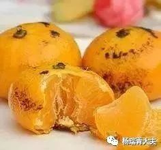 怀孕打喷嚏会导致流产吗,一个喷嚏引起血崩