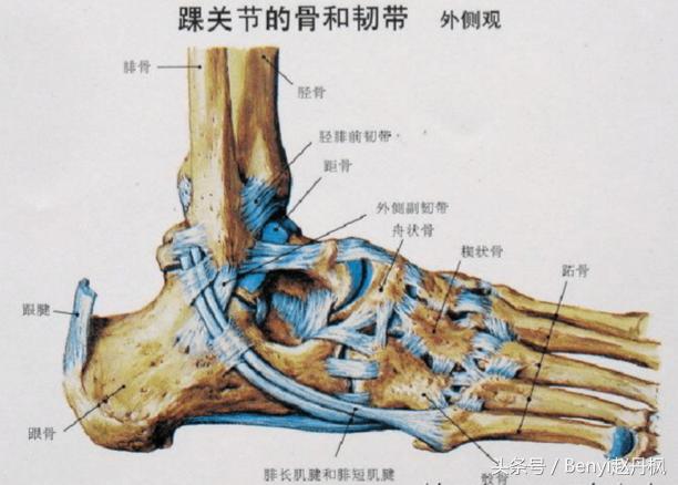 脚踝伤病的六个问题,脚踝受伤康复训练篮球