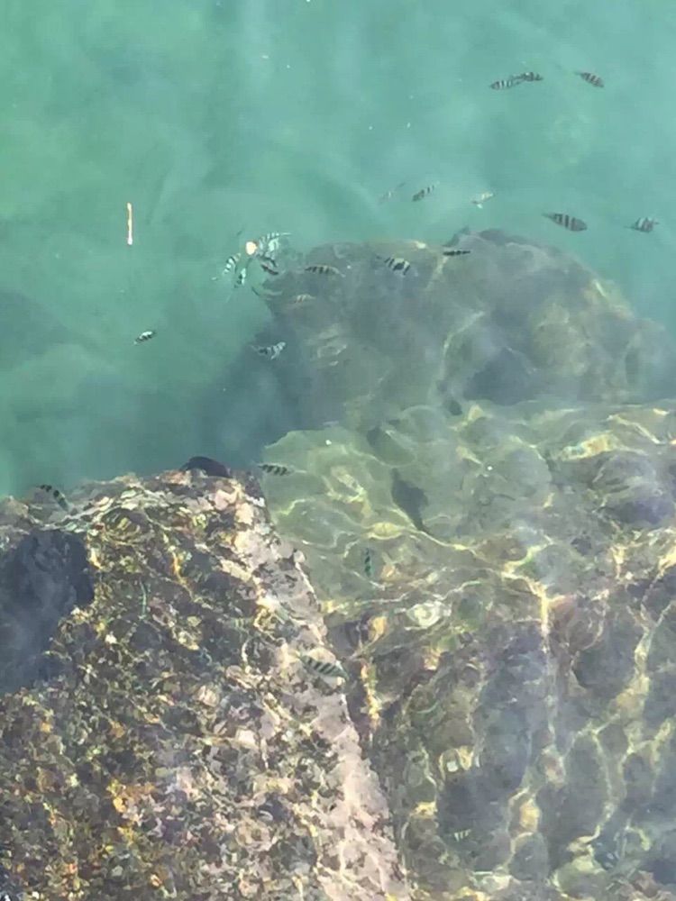 亲子三亚游，什么标题都不如这句话！