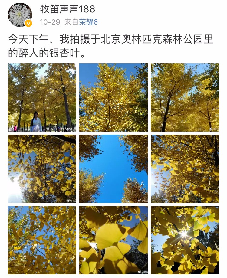 京城赏荷地图高清版,京城赏玉兰最全地图