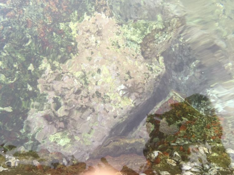 亲子三亚游，什么标题都不如这句话！