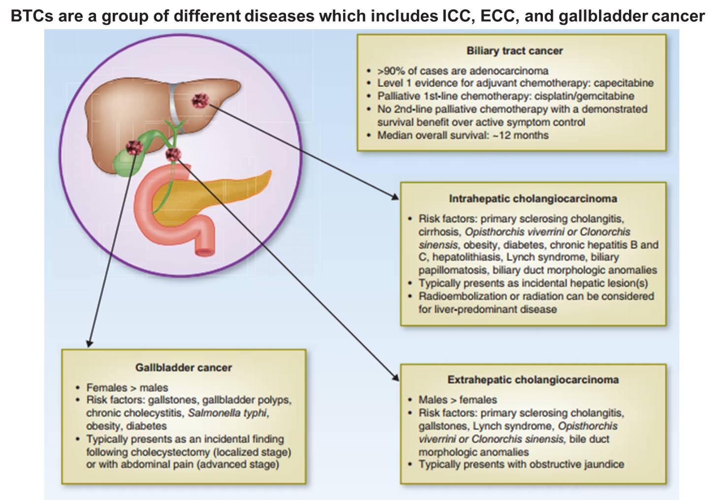 胆管癌免疫加靶向可以长期生存,胆管癌用了免疫药和靶向药费用