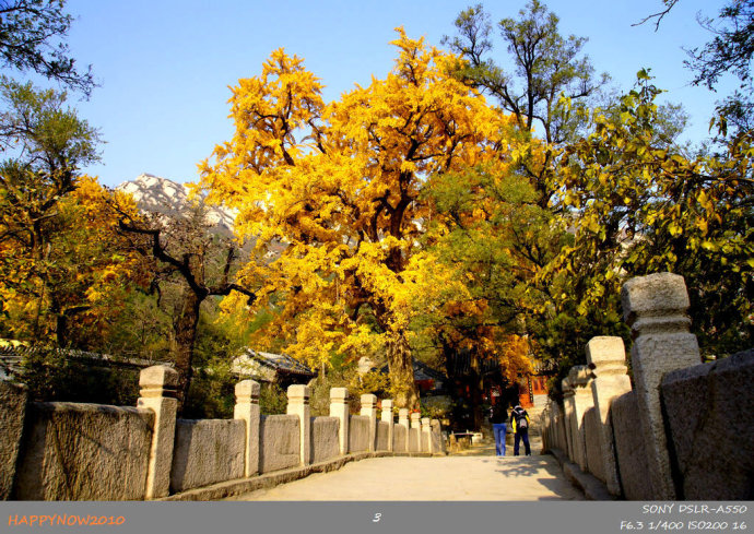 京城赏荷地图高清版,京城赏玉兰最全地图