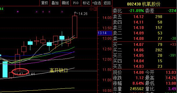 缺口支撑对股票的影响,论股票的价值和未来