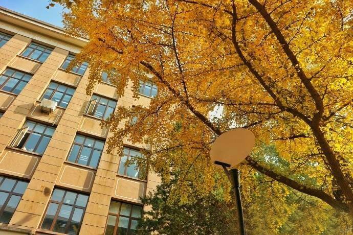 京城赏荷地图高清版,京城赏玉兰最全地图