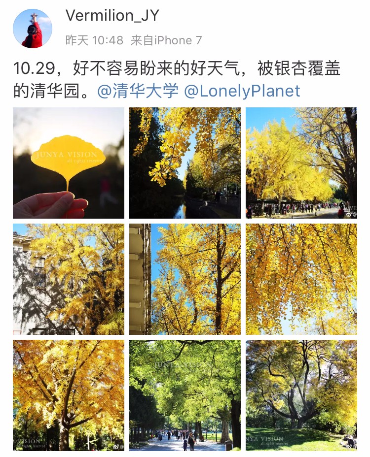 京城赏荷地图高清版,京城赏玉兰最全地图