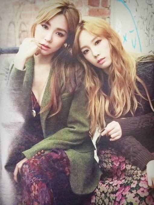 少女时代泰尼夫妻,少女时代泰尼夫妇