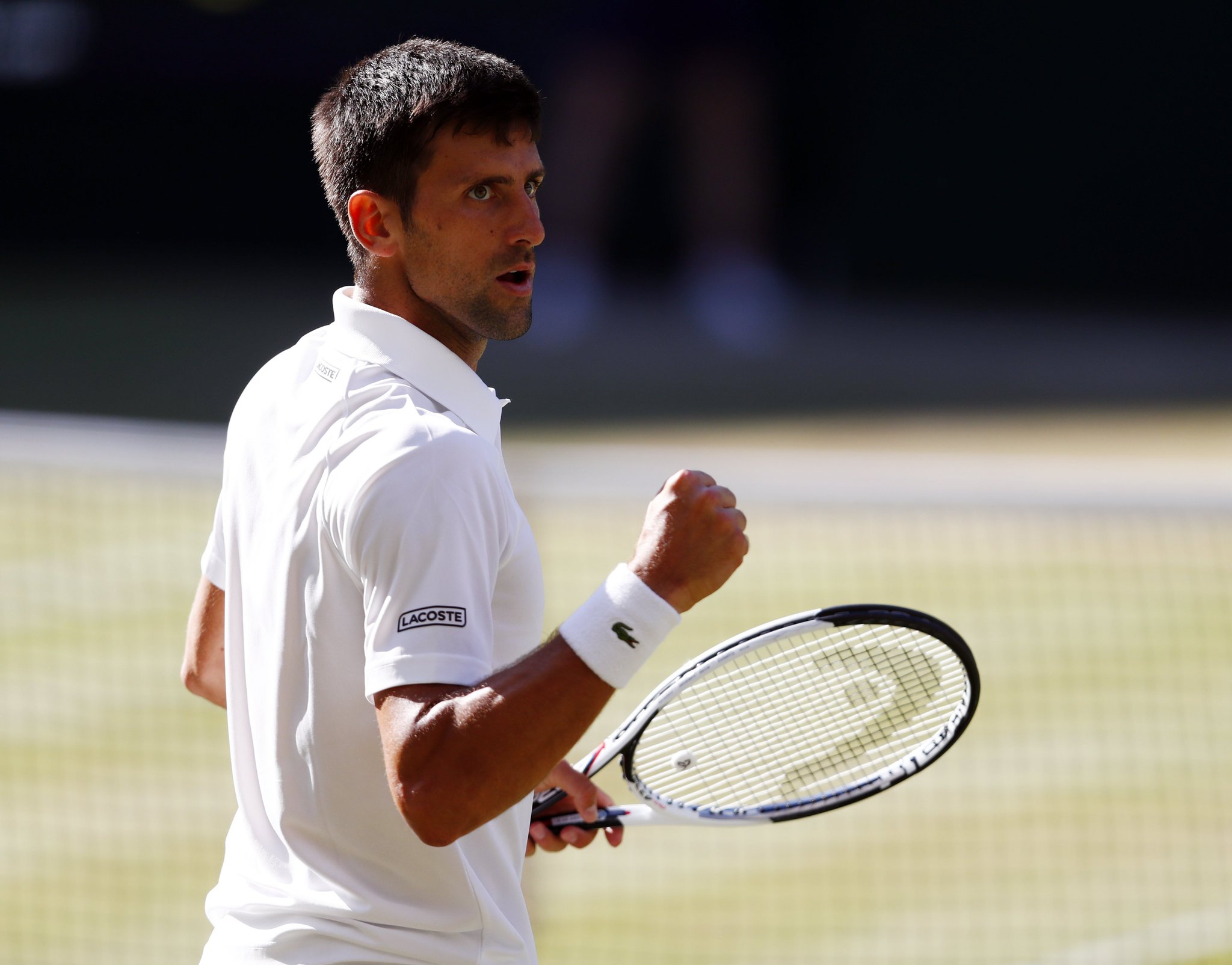 网球拍品牌汇总表,网球拍品牌汇总