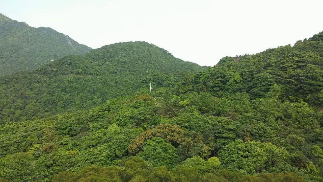 鹏城第一峰梧桐山要不要门票,鹏城第一峰梧桐山日出