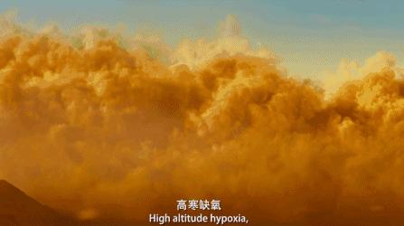 风靡8年的天涯神贴,40万人看过的神片