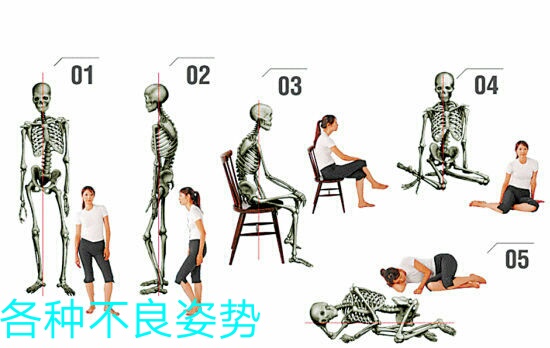 怎样正确认识腰椎几节,正确认识腰椎