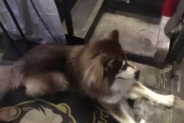 有名精酿啤酒酒馆推荐,有酒有故事餐饮店