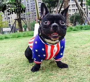 天气越来越来越冷，小法斗需要穿衣服吗