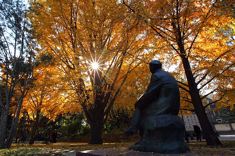 京城赏荷地图高清版,京城赏玉兰最全地图