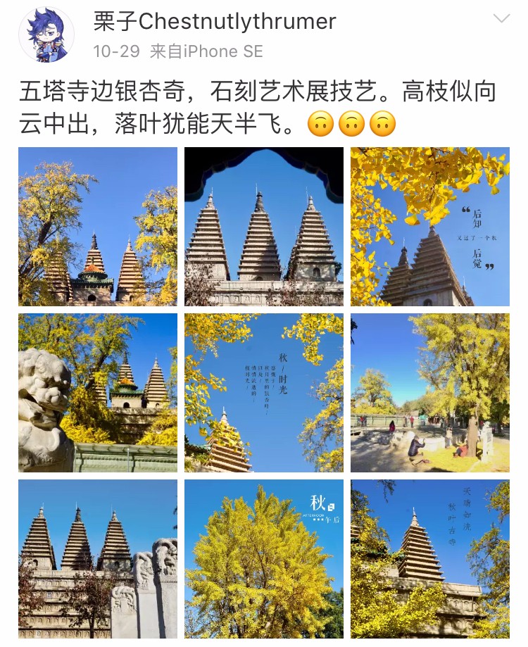 京城赏荷地图高清版,京城赏玉兰最全地图