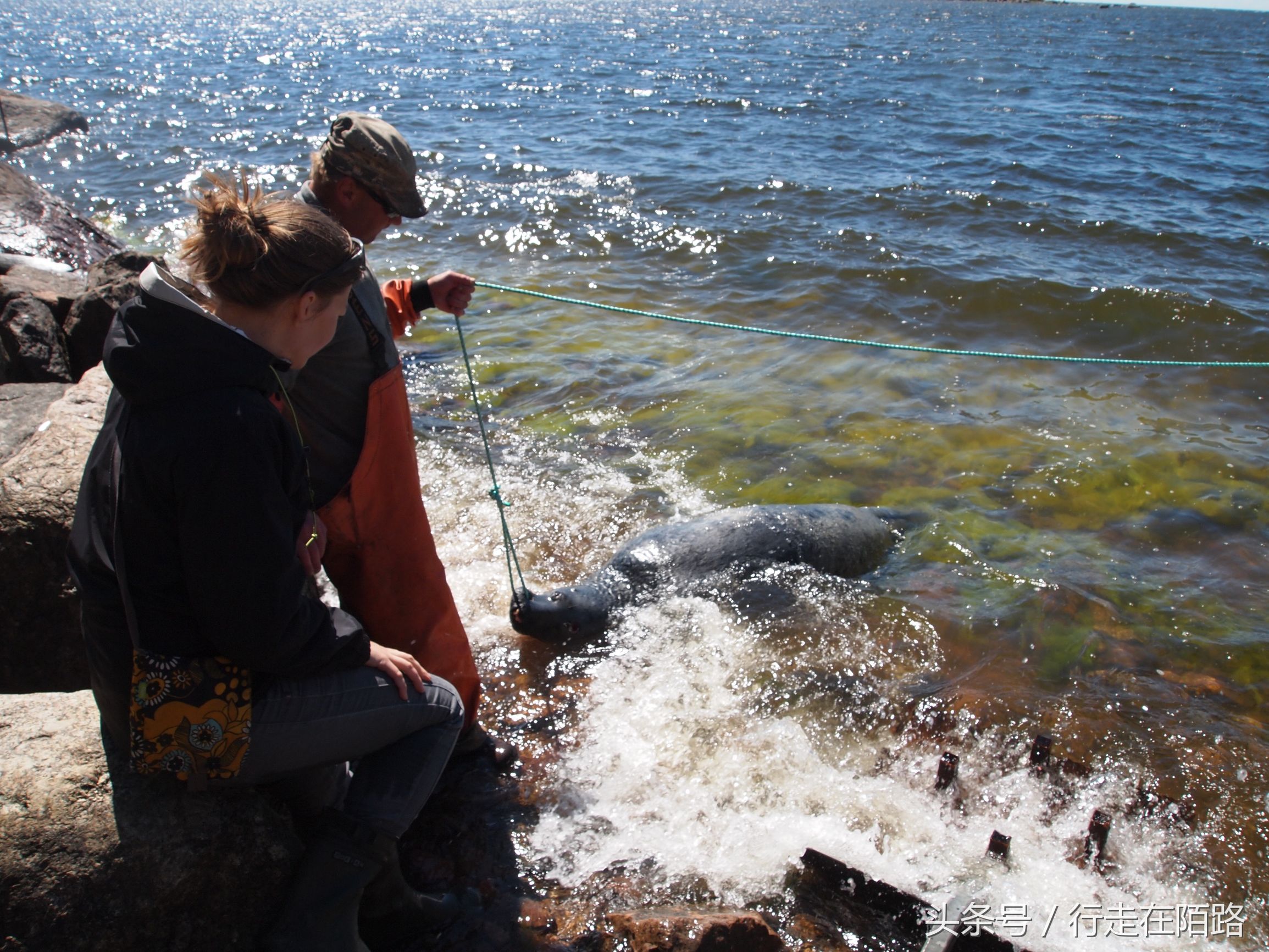 将渔民当成梦想职业？因为收入高假期多，千万欧元资产很常见