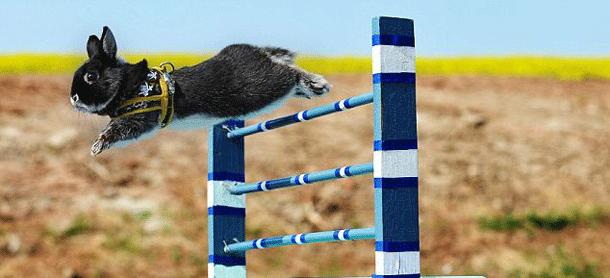 全世界十大奇葩的体育运动,7项奇葩运动