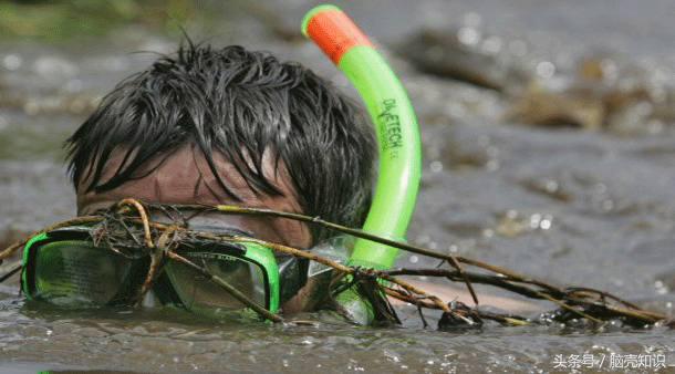 全世界十大奇葩的体育运动,7项奇葩运动