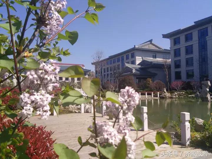 小浪底中州国际饭店抖音,济源小浪底国际饭店